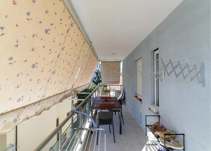 Spike Jonze * ティラナ